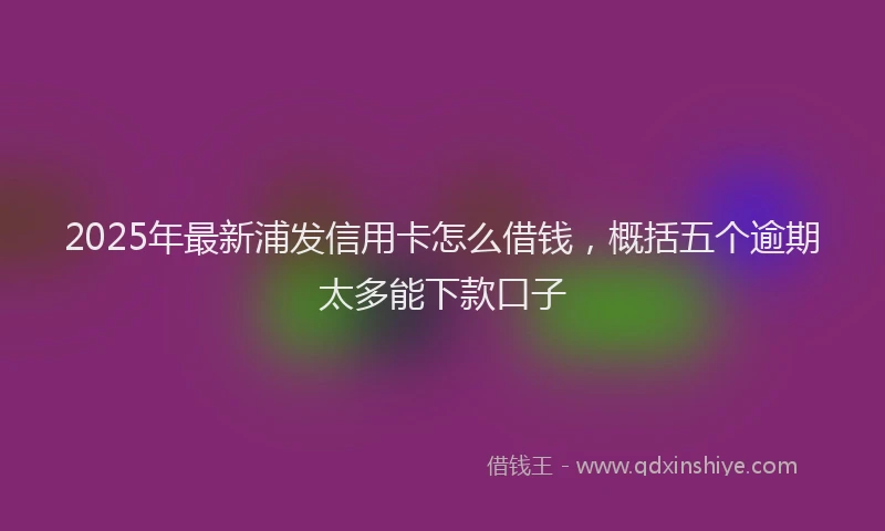2025年最新浦发信用卡怎么借钱，概括五个逾期太多能下款口子