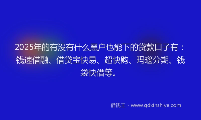 2025年的有没有什么黑户也能下的贷款口子有：钱速借融、借贷宝快易、超快购、玛瑙分期、钱袋快借等。