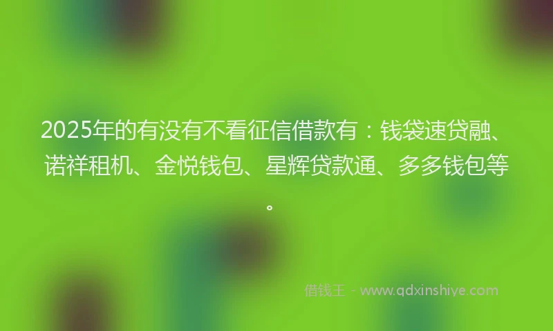 2025年的有没有不看征信借款有：钱袋速贷融、诺祥租机、金悦钱包、星辉贷款通、多多钱包等。