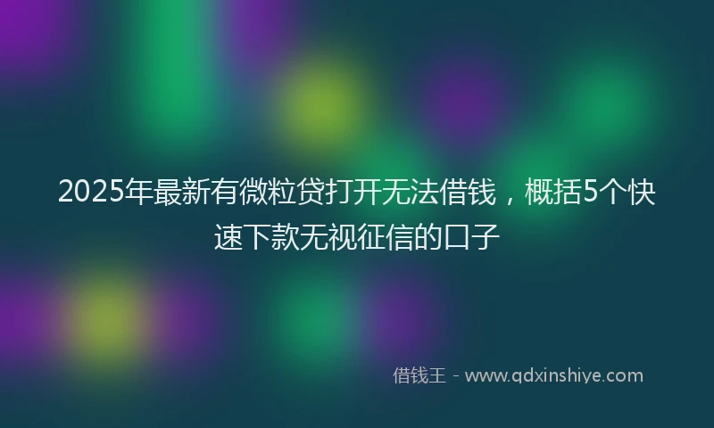 2025年最新有微粒贷打开无法借钱，概括5个快速下款无视征信的口子
