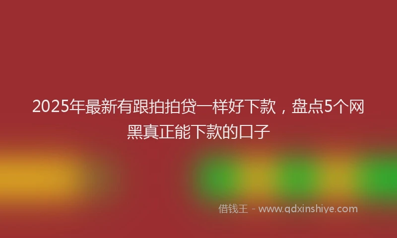 2025年最新有跟拍拍贷一样好下款，盘点5个网黑真正能下款的口子