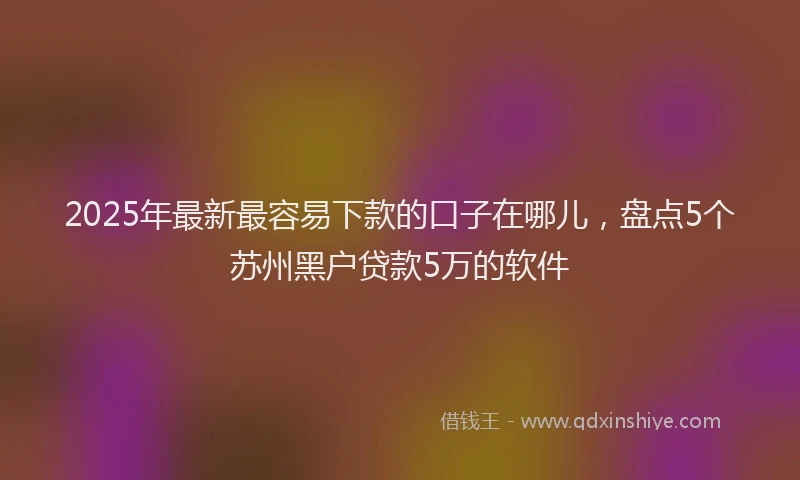 2025年最新最容易下款的口子在哪儿，盘点5个苏州黑户贷款5万的软件