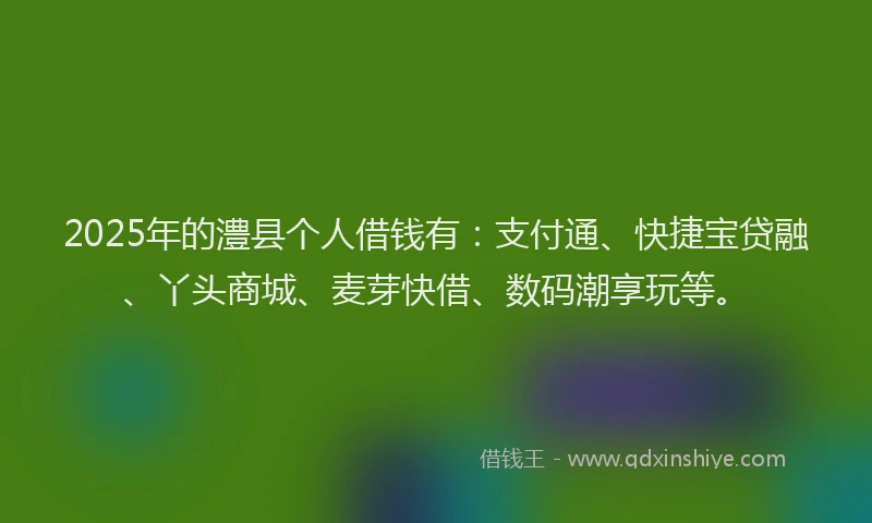 2025年的澧县个人借钱有：支付通、快捷宝贷融、丫头商城、麦芽快借、数码潮享玩等。