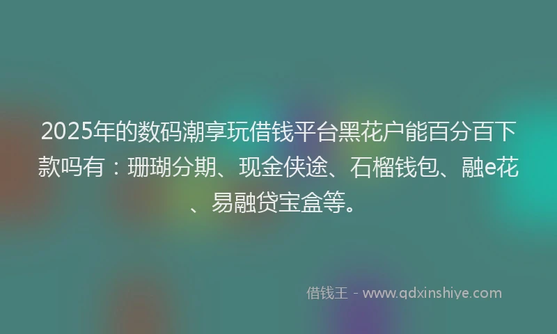 2025年的数码潮享玩借钱平台黑花户能百分百下款吗有：珊瑚分期、现金侠途、石榴钱包、融e花、易融贷宝盒等。