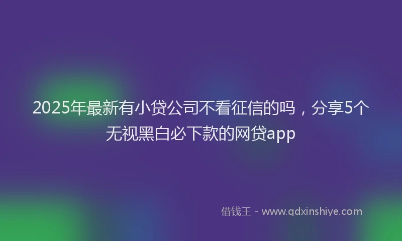 2025年最新有小贷公司不看征信的吗，分享5个无视黑白必下款的网贷app