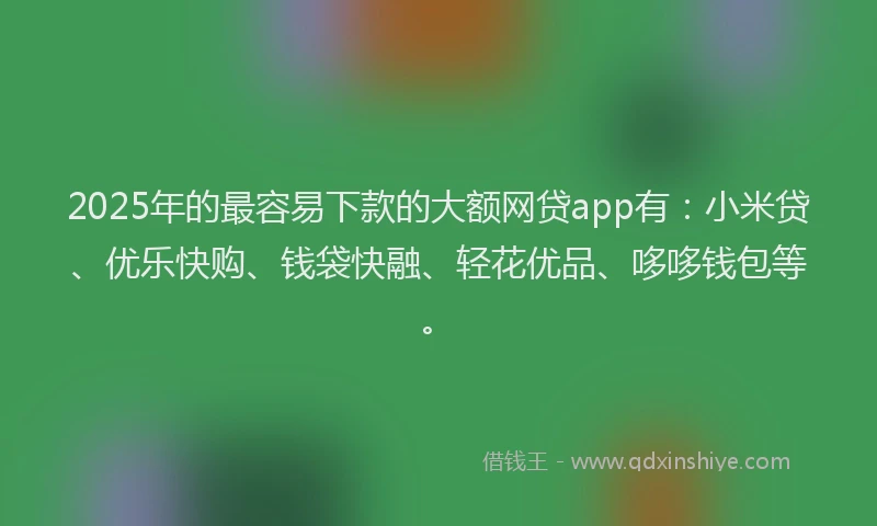 2025年的最容易下款的大额网贷app有：小米贷、优乐快购、钱袋快融、轻花优品、哆哆钱包等。