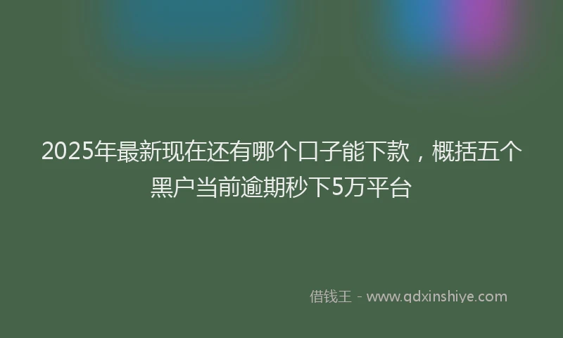2025年最新现在还有哪个口子能下款，概括五个黑户当前逾期秒下5万平台