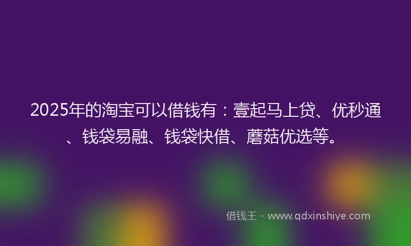 2025年的淘宝可以借钱有：壹起马上贷、优秒通、钱袋易融、钱袋快借、蘑菇优选等。