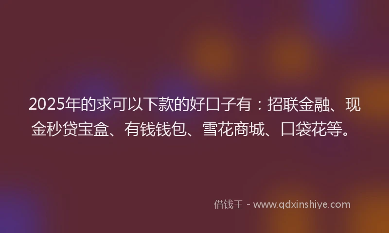 2025年的求可以下款的好口子有：招联金融、现金秒贷宝盒、有钱钱包、雪花商城、口袋花等。