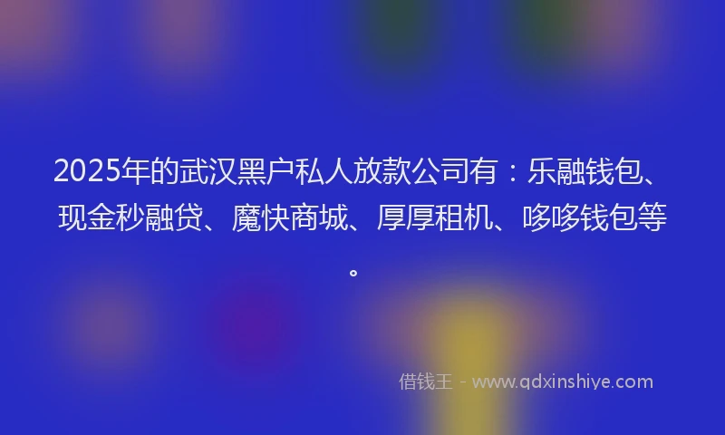 2025年的武汉黑户私人放款公司有：乐融钱包、现金秒融贷、魔快商城、厚厚租机、哆哆钱包等。
