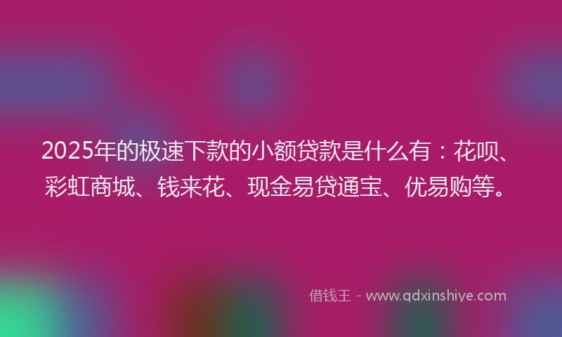2025年的极速下款的小额贷款是什么有：花呗、彩虹商城、钱来花、现金易贷通宝、优易购等。
