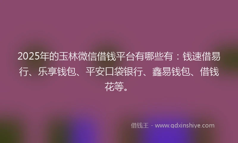 2025年的玉林微信借钱平台有哪些有：钱速借易行、乐享钱包、平安口袋银行、鑫易钱包、借钱花等。