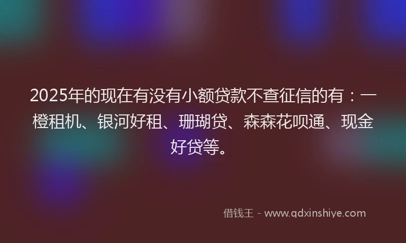 2025年的现在有没有小额贷款不查征信的有：一橙租机、银河好租、珊瑚贷、森森花呗通、现金好贷等。