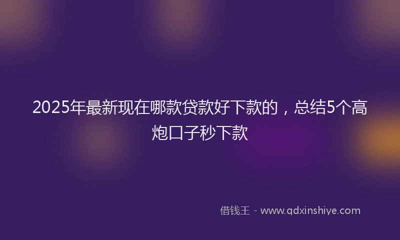 2025年最新现在哪款贷款好下款的，总结5个高炮口子秒下款