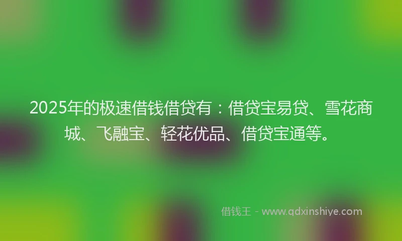 2025年的极速借钱借贷有：借贷宝易贷、雪花商城、飞融宝、轻花优品、借贷宝通等。