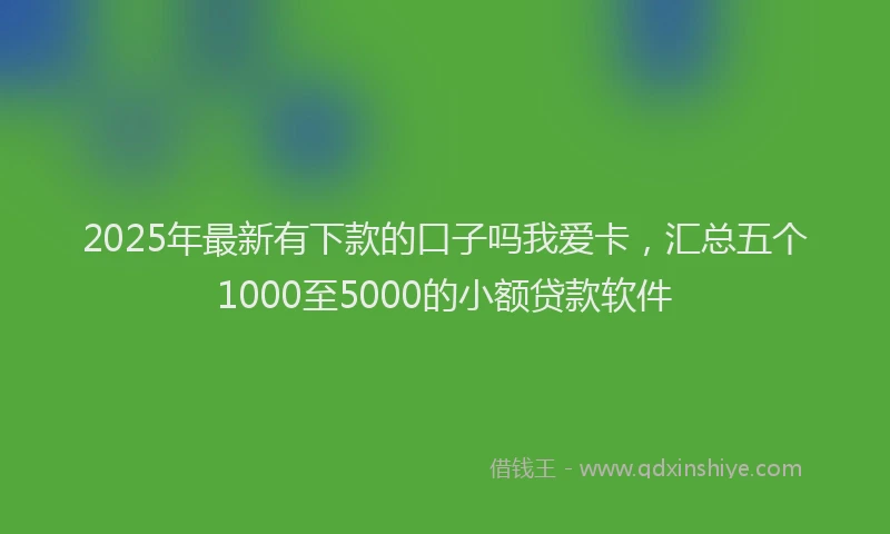 2025年最新有下款的口子吗我爱卡，汇总五个1000至5000的小额贷款软件