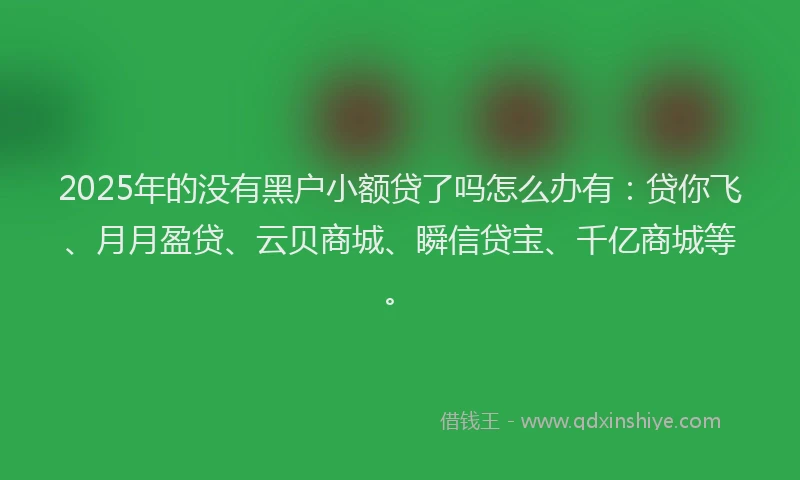2025年的没有黑户小额贷了吗怎么办有：贷你飞、月月盈贷、云贝商城、瞬信贷宝、千亿商城等。