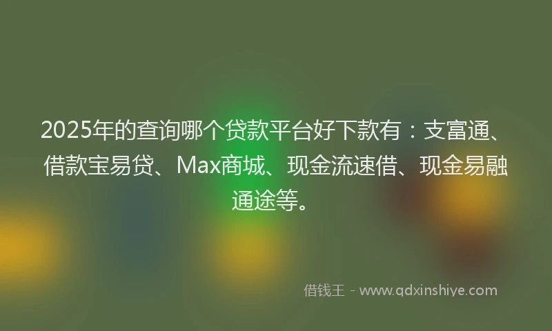 2025年的查询哪个贷款平台好下款有：支富通、借款宝易贷、Max商城、现金流速借、现金易融通途等。