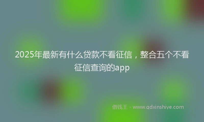 2025年最新有什么贷款不看征信，整合五个不看征信查询的app