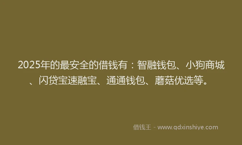 2025年的最安全的借钱有：智融钱包、小狗商城、闪贷宝速融宝、通通钱包、蘑菇优选等。