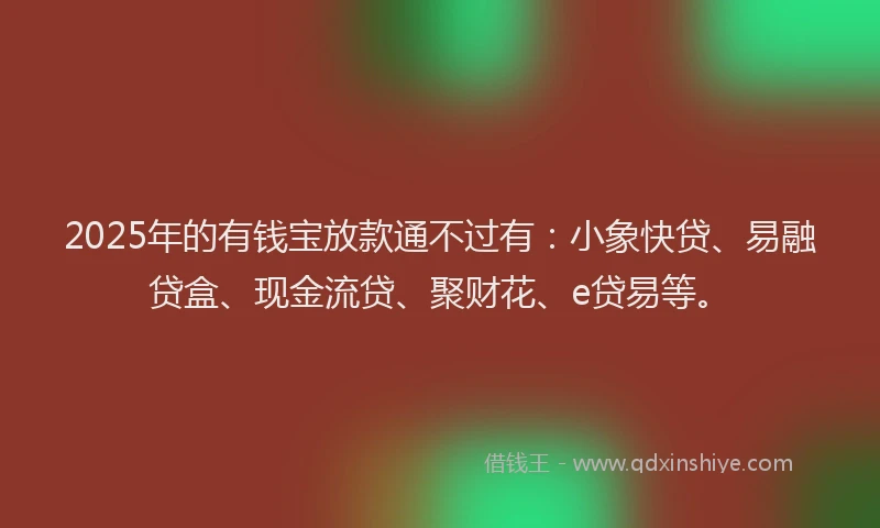 2025年的有钱宝放款通不过有：小象快贷、易融贷盒、现金流贷、聚财花、e贷易等。