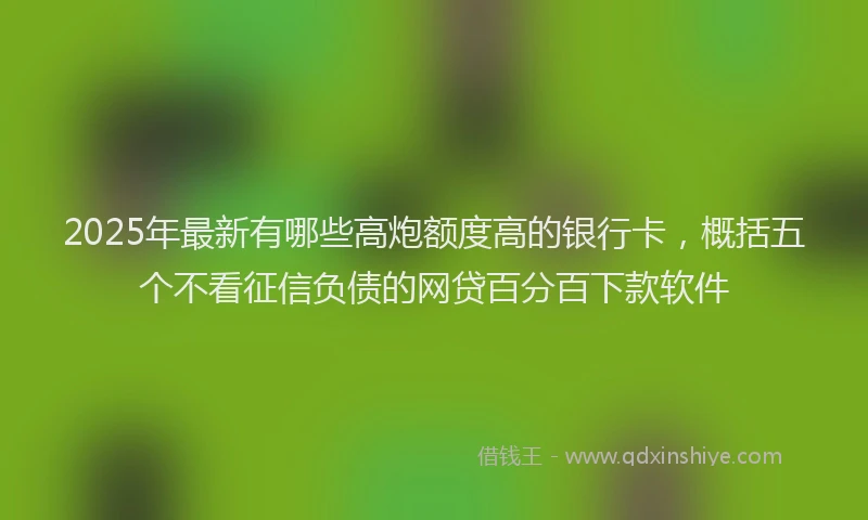 2025年最新有哪些高炮额度高的银行卡，概括五个不看征信负债的网贷百分百下款软件