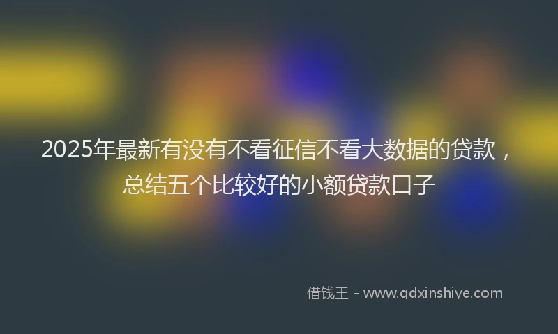 2025年最新有没有不看征信不看大数据的贷款，总结五个比较好的小额贷款口子