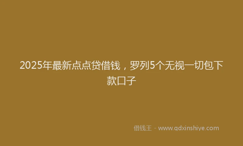 2025年最新点点贷借钱，罗列5个无视一切包下款口子