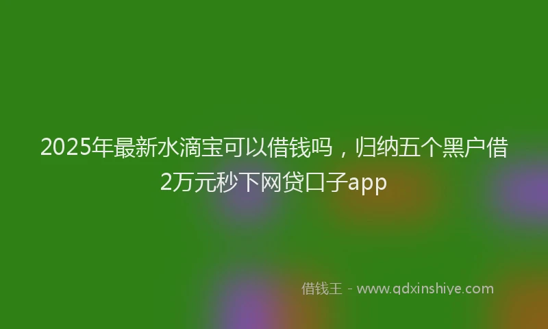 2025年最新水滴宝可以借钱吗，归纳五个黑户借2万元秒下网贷口子app