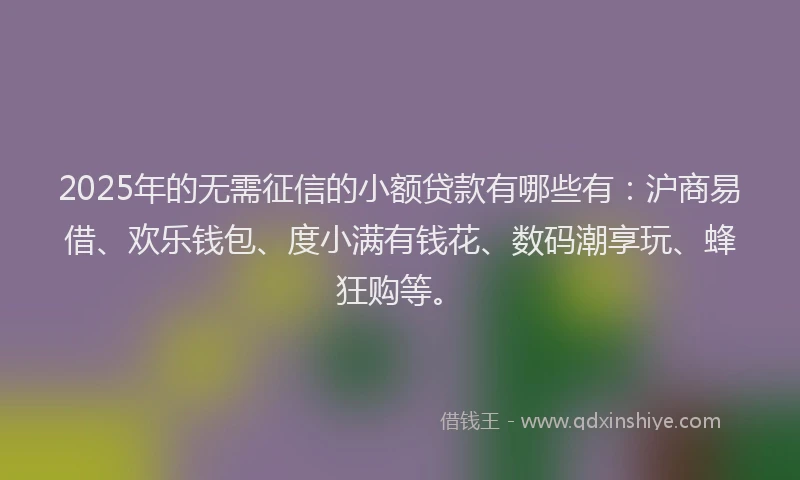 2025年的无需征信的小额贷款有哪些有：沪商易借、欢乐钱包、度小满有钱花、数码潮享玩、蜂狂购等。