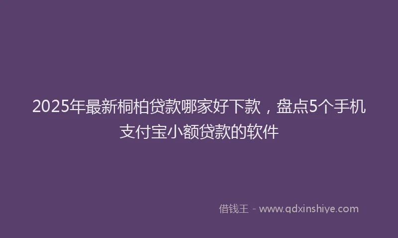 2025年最新桐柏贷款哪家好下款，盘点5个手机支付宝小额贷款的软件