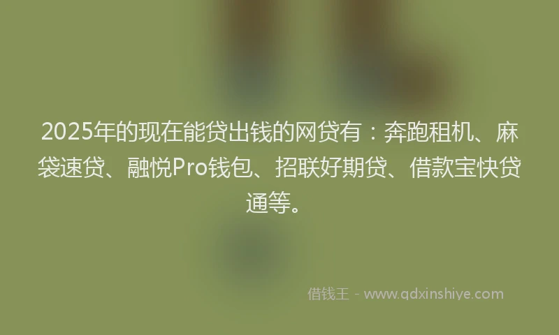 2025年的现在能贷出钱的网贷有：奔跑租机、麻袋速贷、融悦Pro钱包、招联好期贷、借款宝快贷通等。