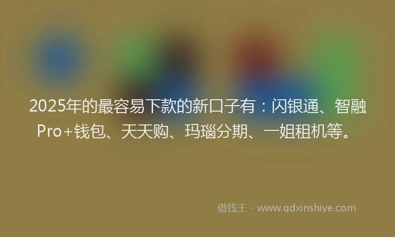 2025年的最容易下款的新口子有：闪银通、智融Pro+钱包、天天购、玛瑙分期、一姐租机等。