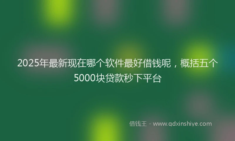 2025年最新现在哪个软件最好借钱呢，概括五个5000块贷款秒下平台