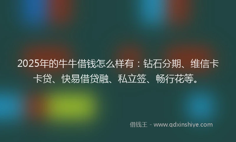 2025年的牛牛借钱怎么样有：钻石分期、维信卡卡贷、快易借贷融、私立签、畅行花等。