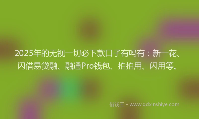 2025年的无视一切必下款口子有吗有：新一花、闪借易贷融、融通Pro钱包、拍拍用、闪用等。