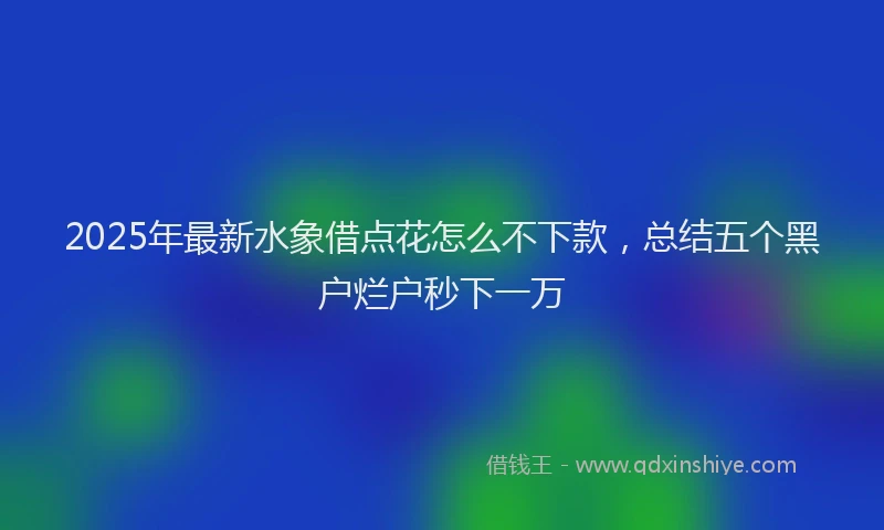 2025年最新水象借点花怎么不下款，总结五个黑户烂户秒下一万