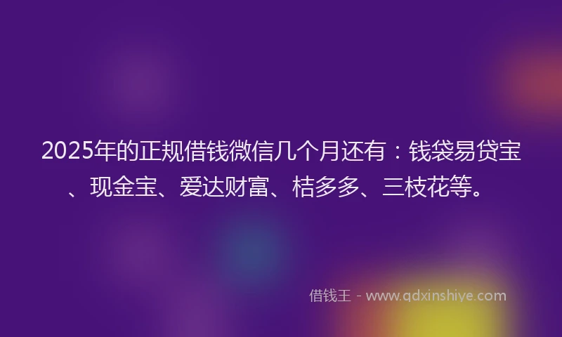 2025年的正规借钱微信几个月还有：钱袋易贷宝、现金宝、爱达财富、桔多多、三枝花等。