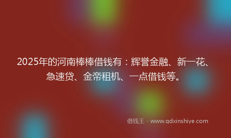 2025年的河南棒棒借钱有：辉誉金融、新一花、急速贷、金帝租机、一点借钱等。