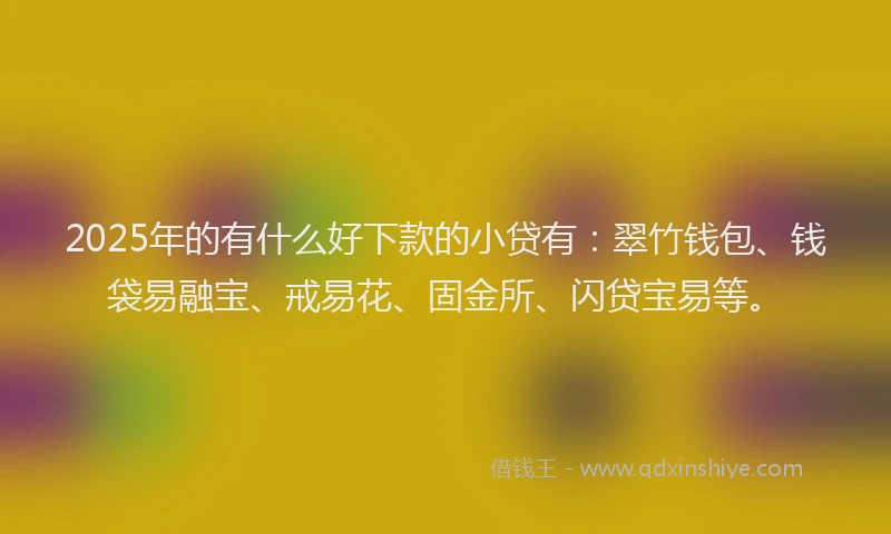2025年的有什么好下款的小贷有：翠竹钱包、钱袋易融宝、戒易花、固金所、闪贷宝易等。
