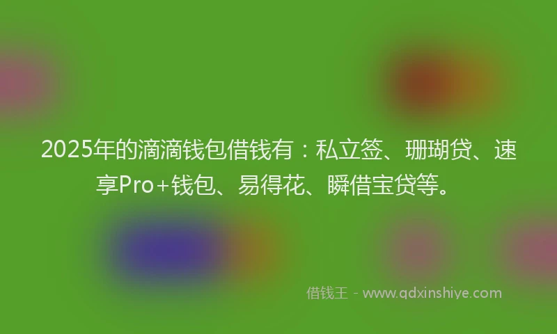 2025年的滴滴钱包借钱有：私立签、珊瑚贷、速享Pro+钱包、易得花、瞬借宝贷等。