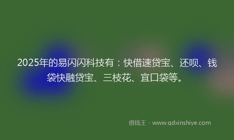 2025年的易闪闪科技有：快借速贷宝、还呗、钱袋快融贷宝、三枝花、宜口袋等。