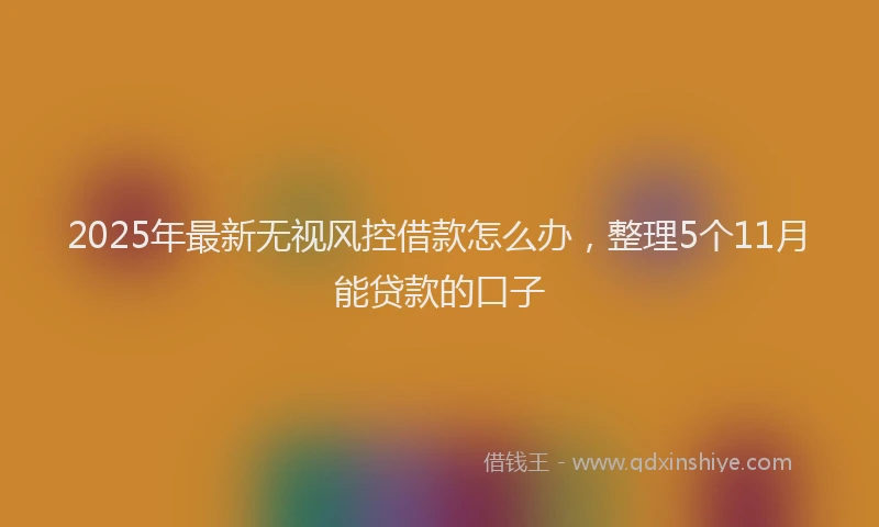 2025年最新无视风控借款怎么办，整理5个11月能贷款的口子