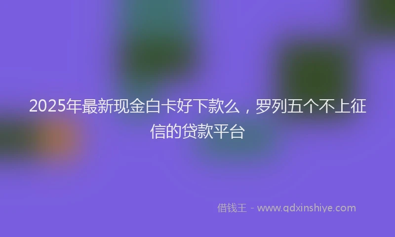 2025年最新现金白卡好下款么，罗列五个不上征信的贷款平台