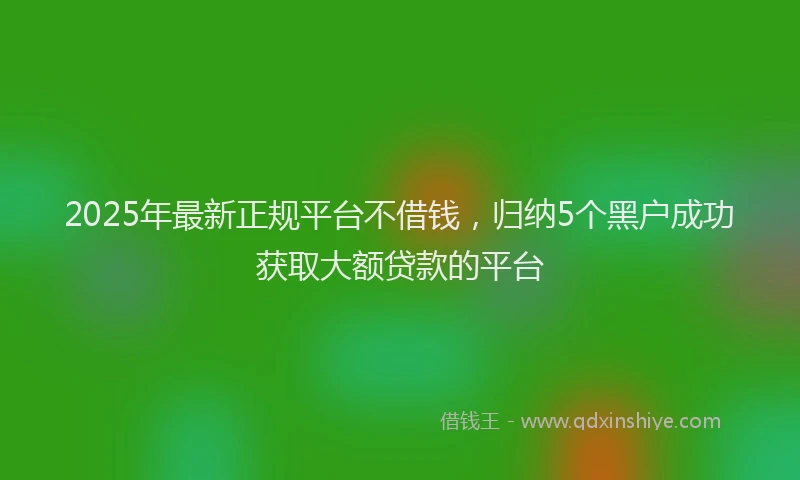 2025年最新正规平台不借钱，归纳5个黑户成功获取大额贷款的平台