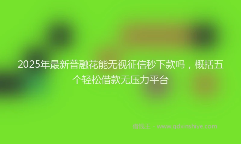 2025年最新普融花能无视征信秒下款吗，概括五个轻松借款无压力平台