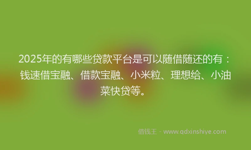 2025年的有哪些贷款平台是可以随借随还的有：钱速借宝融、借款宝融、小米粒、理想给、小油菜快贷等。