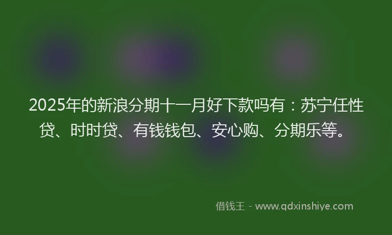 2025年的新浪分期十一月好下款吗有：苏宁任性贷、时时贷、有钱钱包、安心购、分期乐等。
