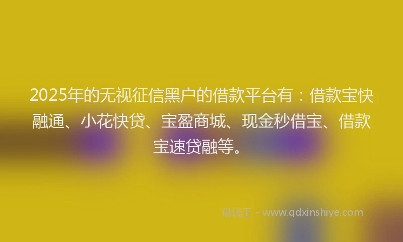 2025年的无视征信黑户的借款平台有：借款宝快融通、小花快贷、宝盈商城、现金秒借宝、借款宝速贷融等。