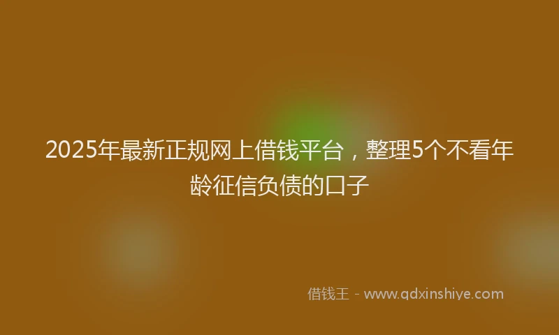 2025年最新正规网上借钱平台，整理5个不看年龄征信负债的口子